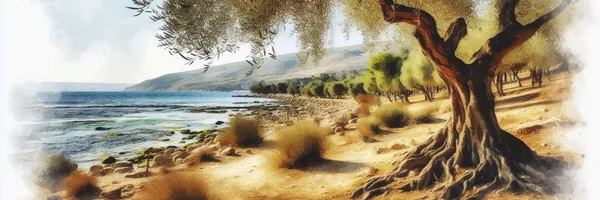 img of Adopted into God's Kingdom